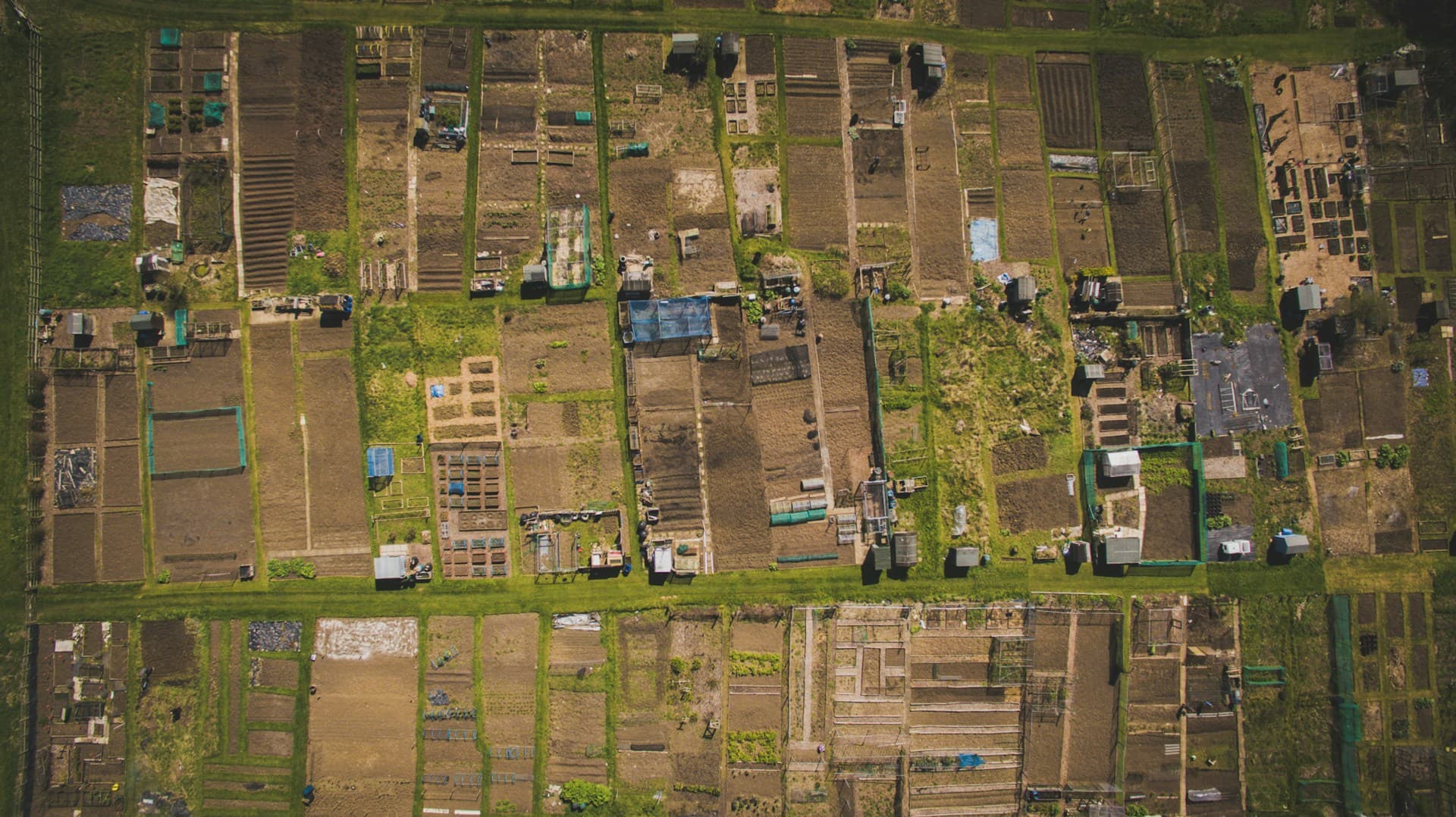 Rupayan Eco Village - Image 3